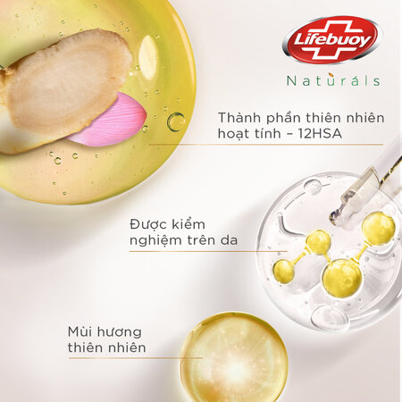 Sữa Tắm Lifebuoy Detox Matcha & Khổ Qua 800g
