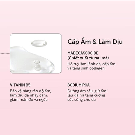 Combo Cocoon Sữa Rửa Mặt Sen Hậu Giang Dịu Da Nhạy Cảm 310ml + Nước Tẩy Trang Bí Đao Giảm Dầu 500ml