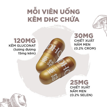 Thực Phẩm Bảo Vệ Sức Khỏe DHC Zinc